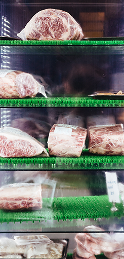 Distribución de alimentos congelados